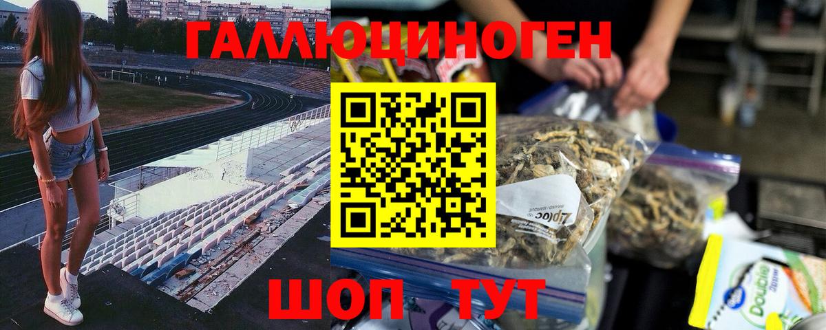 Галлюциногенные грибы MAGIC MUSHROOMS Камышин